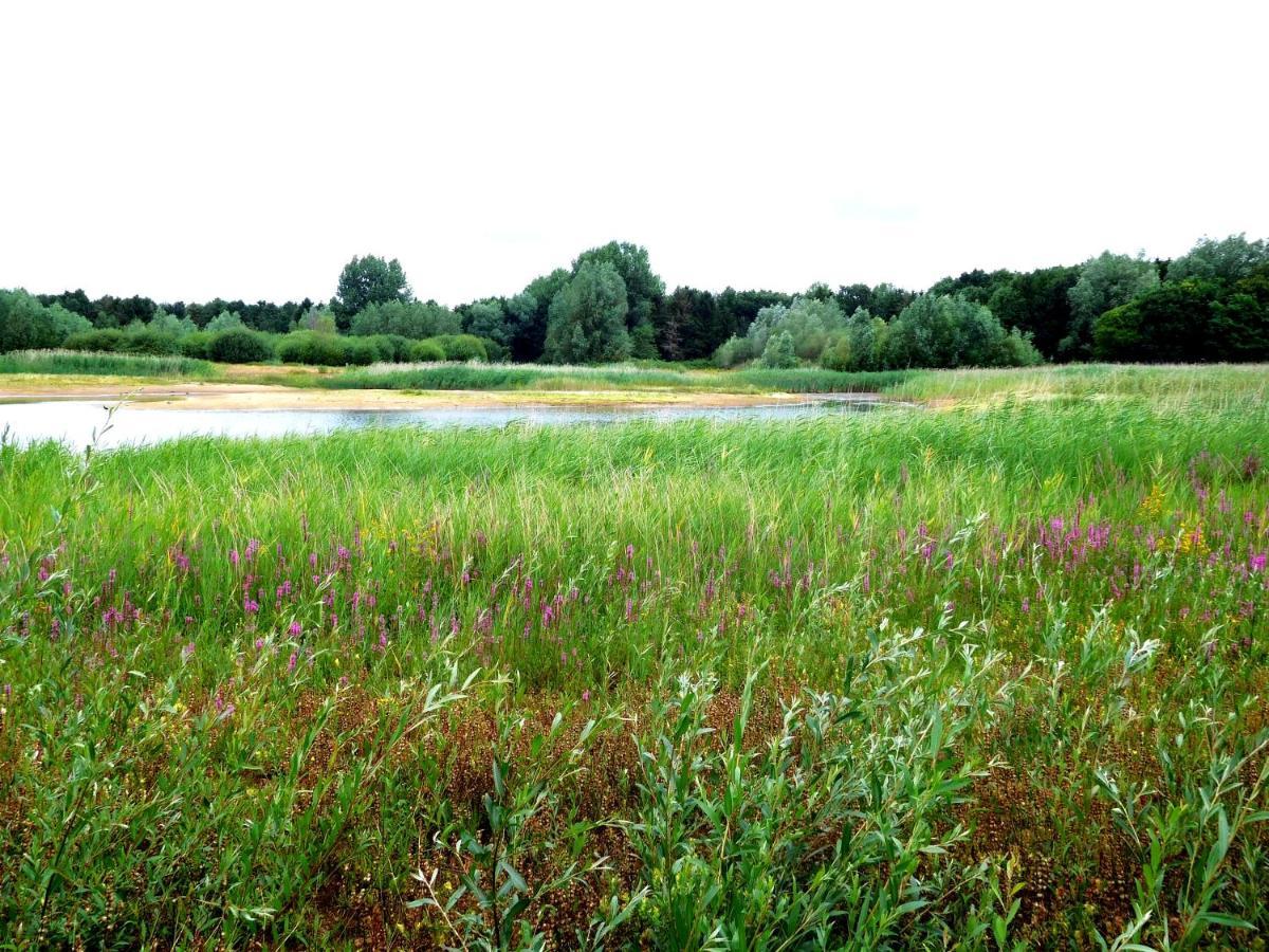 Park Schoneveld, Zeester 91 Vakantiehuis *